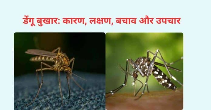 डेंगू बुखार: कारण, लक्षण, बचाव और उपचार | Dengue in hindi