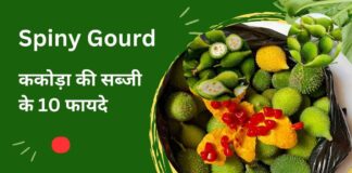 ककोड़ा की सब्जी के फायदे | Benefits of Spiny Gourd vegetable