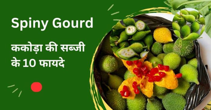 ककोड़ा की सब्जी के फायदे | Benefits of Spiny Gourd vegetable